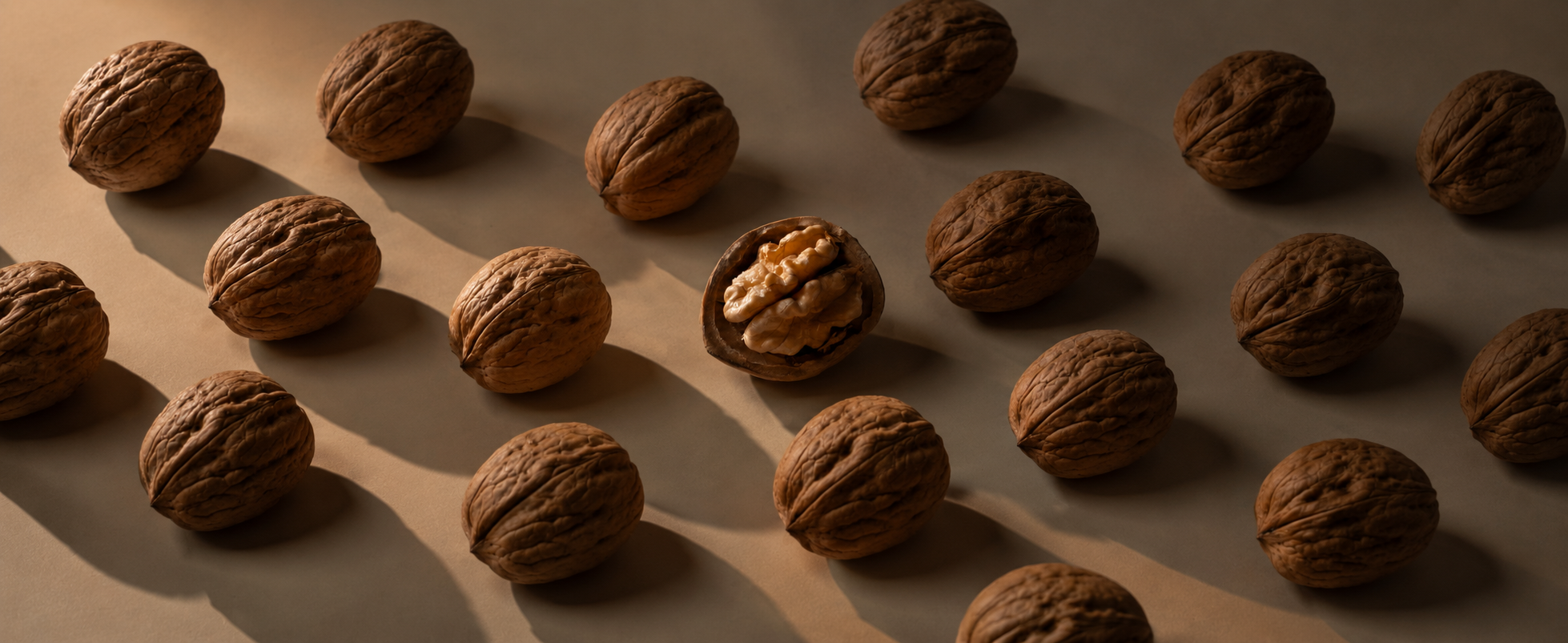 Nuts & Dried Fruits